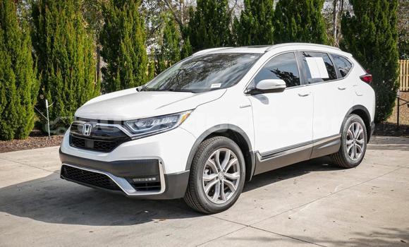 Buy Used Honda CR–V White Car in Canaries in Canaries Buy Used Honda CR–V White Car in Canaries in Canaries