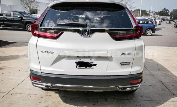 Buy Used Honda CR–V White Car in Canaries in Canaries Buy Used Honda CR–V White Car in Canaries in Canaries