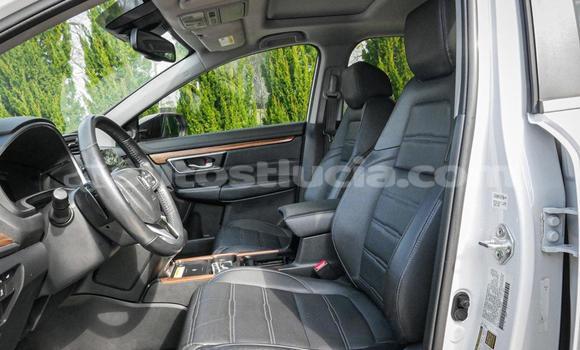 Buy Used Honda CR–V White Car in Canaries in Canaries Buy Used Honda CR–V White Car in Canaries in Canaries