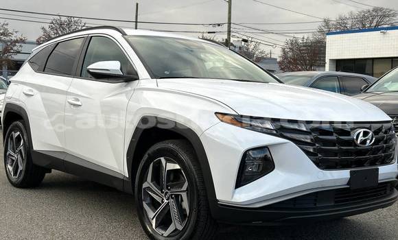 Buy Used Hyundai Tucson White Car in Castries in Castries