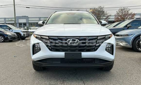Buy Used Hyundai Tucson White Car in Castries in Castries Buy Used Hyundai Tucson White Car in Castries in Castries