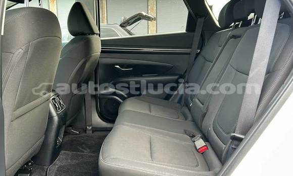 Buy Used Hyundai Tucson White Car in Castries in Castries Buy Used Hyundai Tucson White Car in Castries in Castries