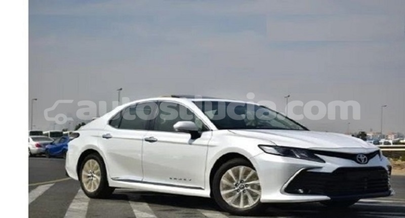 Big with watermark toyota camry canaries canaries 4490