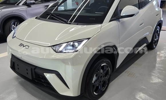 Buy Used BYD S6 White Car in Canaries in Canaries