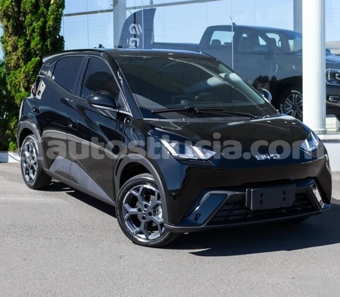 Big with watermark byd s6 canaries canaries 4495