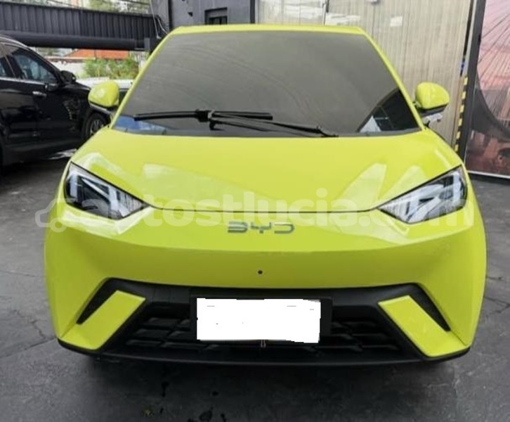 Big with watermark byd s6 canaries canaries 4495