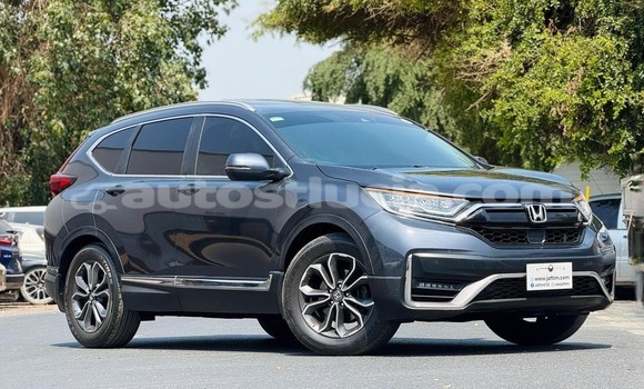 Buy Used Honda CR–V Other Car in Import - Dubai in Anse-la-Raye