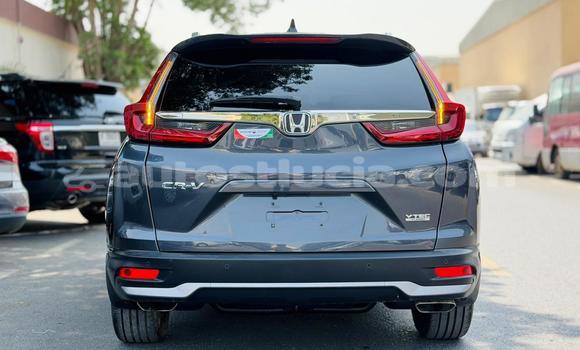 Buy Used Honda CR–V Other Car in Import - Dubai in Anse-la-Raye Buy Used Honda CR–V Other Car in Import - Dubai in Anse-la-Raye
