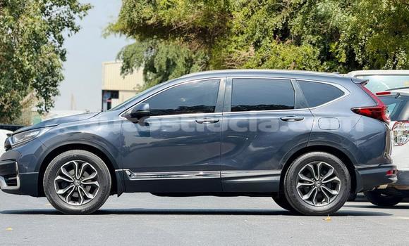 Buy Used Honda CR–V Other Car in Import - Dubai in Anse-la-Raye Buy Used Honda CR–V Other Car in Import - Dubai in Anse-la-Raye