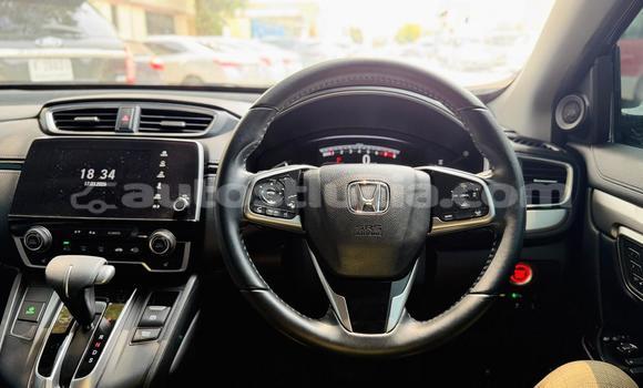 Buy Used Honda CR–V Other Car in Import - Dubai in Anse-la-Raye Buy Used Honda CR–V Other Car in Import - Dubai in Anse-la-Raye