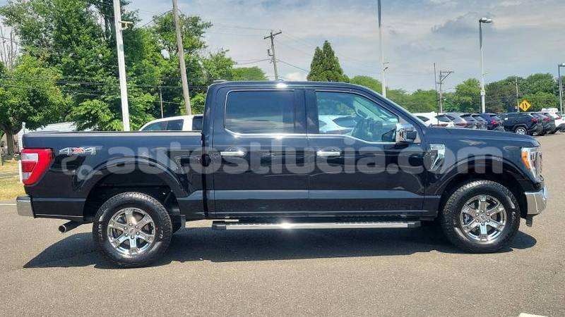Big with watermark ford f 150 canaries canaries 4502