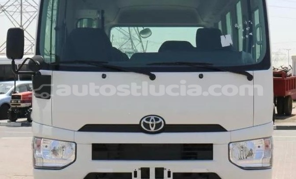 Buy Used Toyota Coaster White Car in Canaries in Canaries