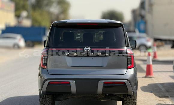 Buy Used Nissan Patrol Silver Car in Import - Dubai in Anse-la-Raye Buy Used Nissan Patrol Silver Car in Import - Dubai in Anse-la-Raye