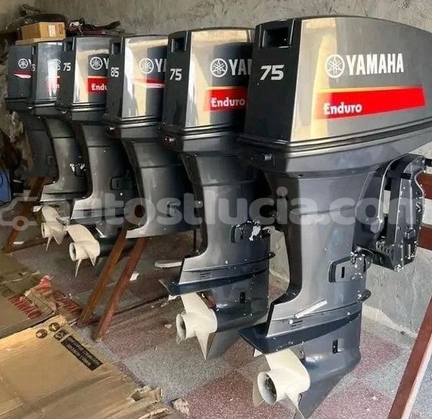 Big with watermark 75