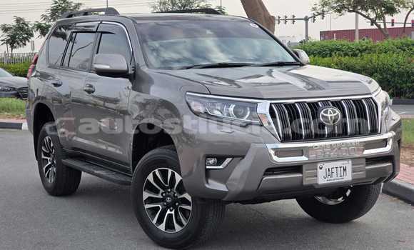 Buy Used Toyota Land Cruiser Prado Green Car in Import - Dubai in Anse-la-Raye Buy Used Toyota Land Cruiser Prado Green Car in Import - Dubai in Anse-la-Raye