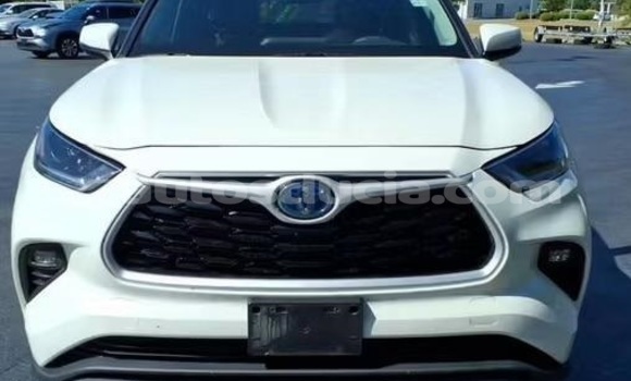 Buy Used Toyota Highlander White Car in Castries in Castries