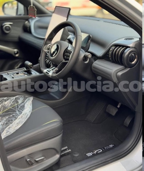 Big with watermark byd f3 canaries canaries 4544