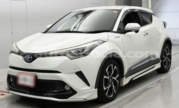 Buy Used Toyota C-HR White Car in Castries in Castries