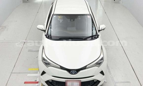Acheter Occasion Voiture Toyota C-HR Blanc à Castries, Castries Acheter Occasion Voiture Toyota C-HR Blanc à Castries, Castries
