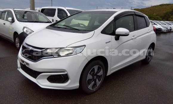 Buy Used Honda FIT White Car in Castries in Castries