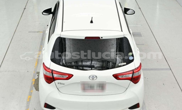 Acheter Occasion Voiture Toyota Vitz Blanc à Anse-la-Raye, Anse-la-Raye Acheter Occasion Voiture Toyota Vitz Blanc à Anse-la-Raye, Anse-la-Raye