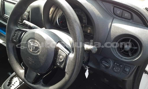 Acheter Occasion Voiture Toyota Vitz Blanc à Anse-la-Raye, Anse-la-Raye Acheter Occasion Voiture Toyota Vitz Blanc à Anse-la-Raye, Anse-la-Raye