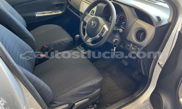 Buy Used Toyota Vitz Silver Car in Castries in Castries Buy Used Toyota Vitz Silver Car in Castries in Castries