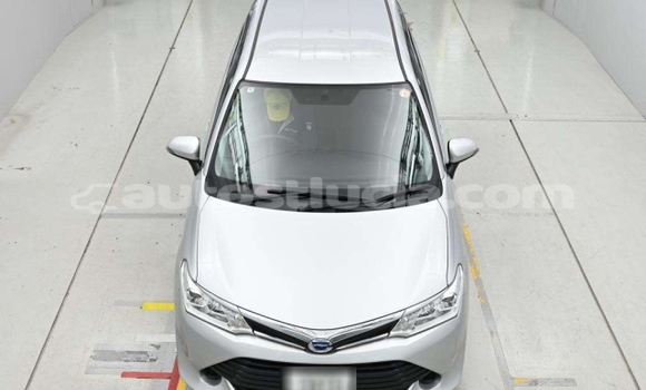 Buy Used Toyota Corolla Silver Car in Castries in Castries Buy Used Toyota Corolla Silver Car in Castries in Castries