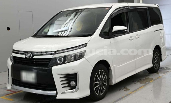 Buy Used Toyota Voxy White Car in Castries in Castries