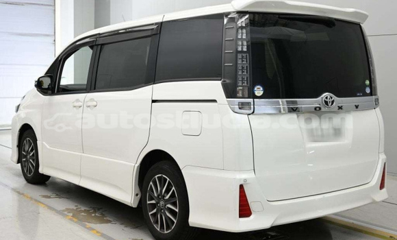 Buy Used Toyota Voxy White Car in Castries in Castries Buy Used Toyota Voxy White Car in Castries in Castries