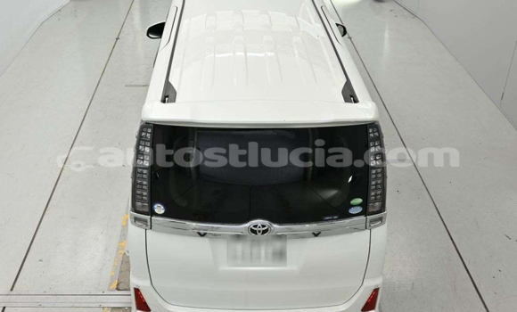Buy Used Toyota Voxy White Car in Castries in Castries Buy Used Toyota Voxy White Car in Castries in Castries