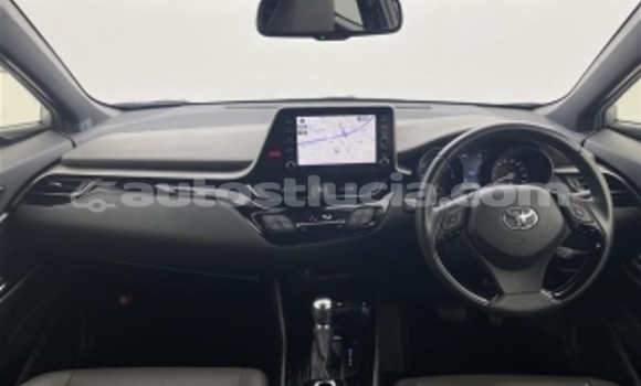 Buy Used Toyota C-HR Silver Car in Castries in Castries Buy Used Toyota C-HR Silver Car in Castries in Castries