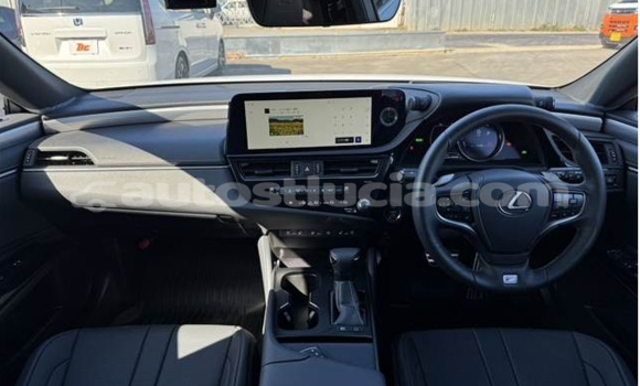 Buy Used Lexus ES 300 White Car in Castries in Castries Buy Used Lexus ES 300 White Car in Castries in Castries