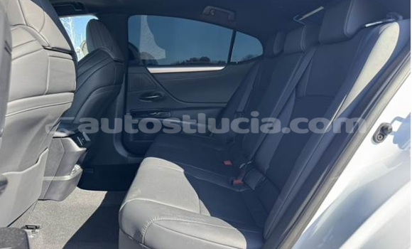 Buy Used Lexus ES 300 White Car in Castries in Castries Buy Used Lexus ES 300 White Car in Castries in Castries