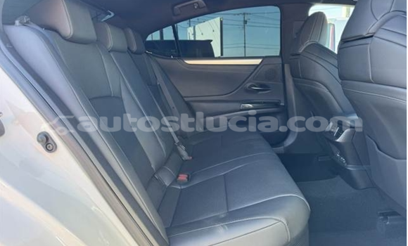 Buy Used Lexus ES 300 White Car in Castries in Castries Buy Used Lexus ES 300 White Car in Castries in Castries