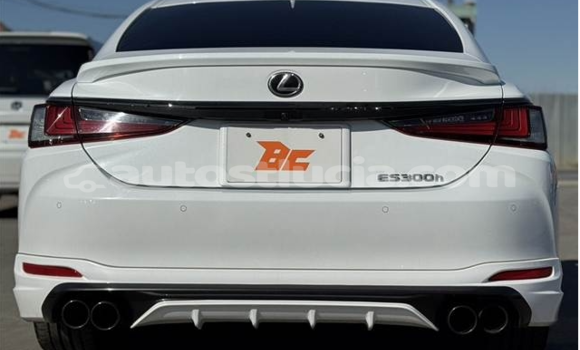 Buy Used Lexus ES 300 White Car in Castries in Castries Buy Used Lexus ES 300 White Car in Castries in Castries