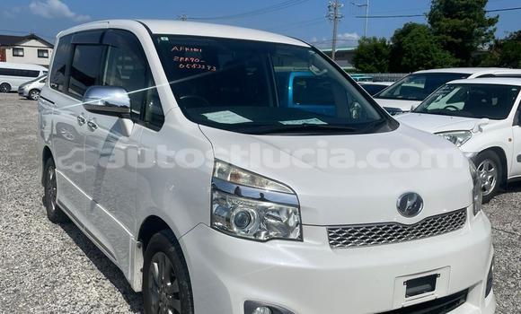 Buy Used Toyota Voxy White Car in Castries in Castries