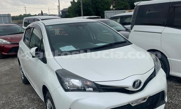Buy Used Toyota Vitz White Car in Canaries in Canaries