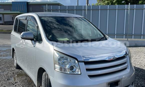 Buy Used Toyota Noah Silver Car in Castries in Castries