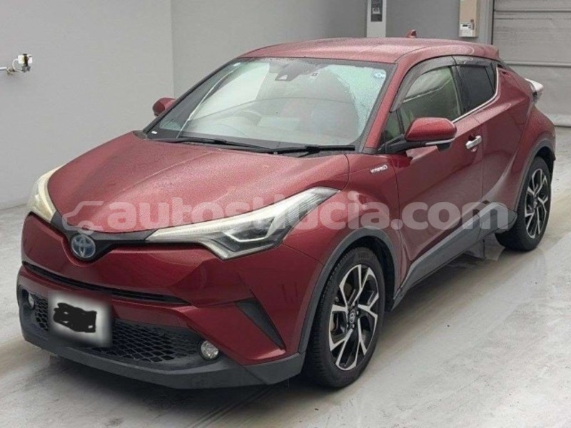 Big with watermark toyota c hr canaries canaries 4639