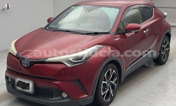 Buy Used Toyota C-HR Red Car in Canaries in Canaries