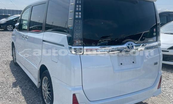 Buy Used Toyota Voxy White Car in Laborie in Laborie Buy Used Toyota Voxy White Car in Laborie in Laborie