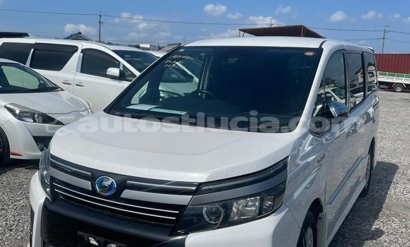 Buy Used Toyota Voxy White Car in Laborie in Laborie