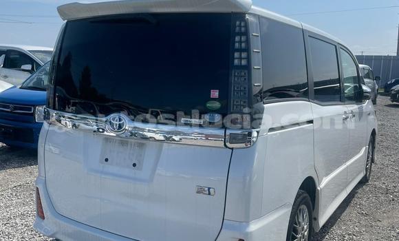 Buy Used Toyota Voxy White Car in Laborie in Laborie Buy Used Toyota Voxy White Car in Laborie in Laborie