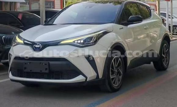 Buy Used Toyota C-HR White Car in Canaries in Canaries