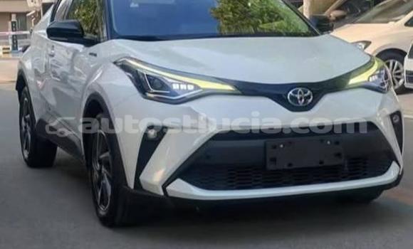 Acheter Occasion Voiture Toyota C-HR Blanc à Canaries, Canaries Acheter Occasion Voiture Toyota C-HR Blanc à Canaries, Canaries