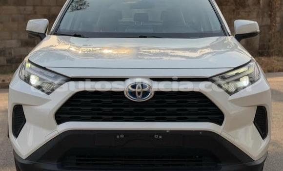 Buy Used Toyota RAV4 White Car in Castries in Castries
