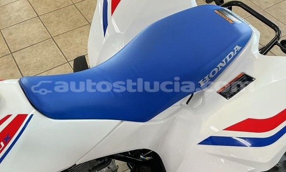 Buy New Honda TRX Other Bike in Choiseul in Choiseul Buy New Honda TRX Other Bike in Choiseul in Choiseul