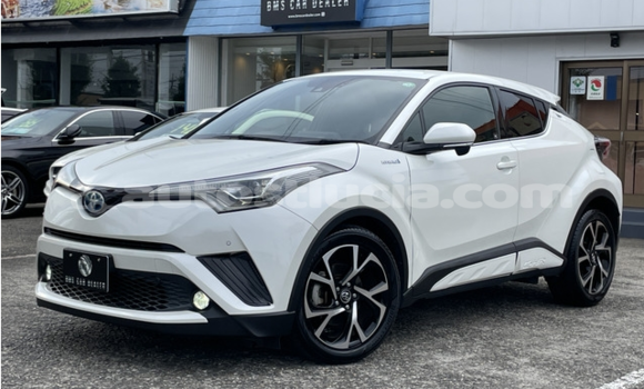 Buy Used Toyota C-HR White Car in Castries in Castries