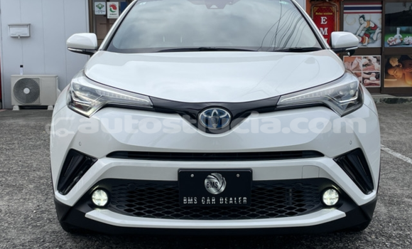 Acheter Occasion Voiture Toyota C-HR Blanc à Castries, Castries Acheter Occasion Voiture Toyota C-HR Blanc à Castries, Castries